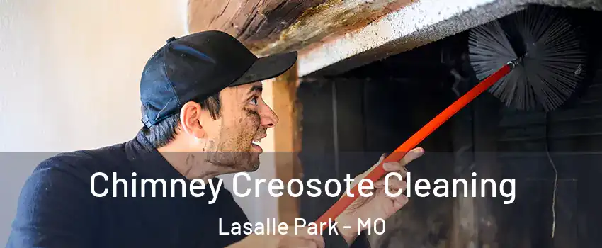 Chimney Creosote Cleaning Lasalle Park - MO