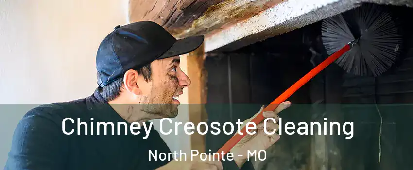 Chimney Creosote Cleaning North Pointe - MO
