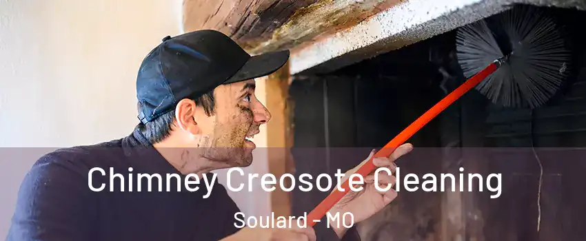 Chimney Creosote Cleaning Soulard - MO