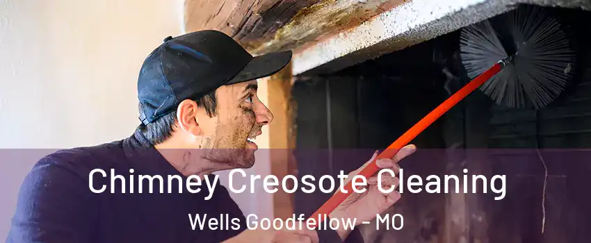 Chimney Creosote Cleaning Wells Goodfellow - MO