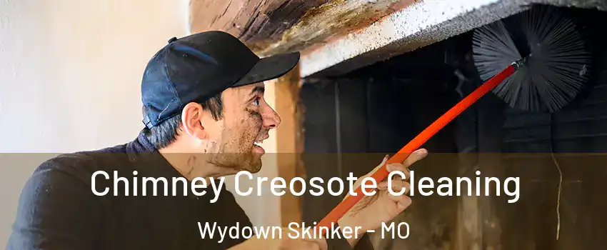Chimney Creosote Cleaning Wydown Skinker - MO