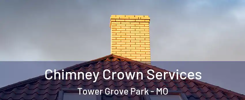 Chimney Crown Services Tower Grove Park - MO
