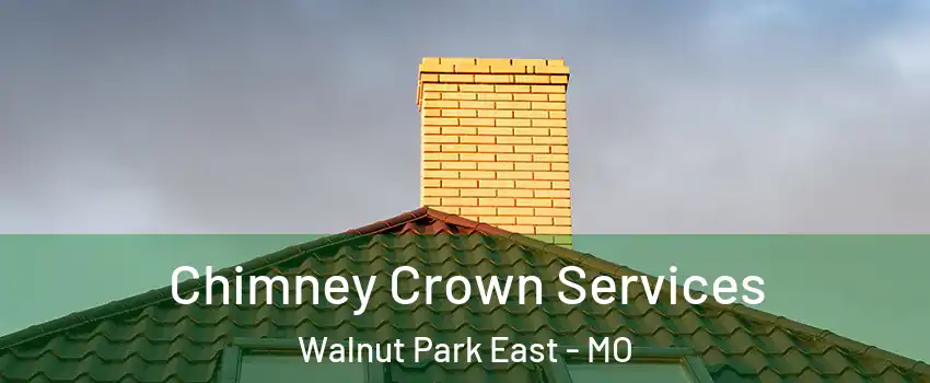 Chimney Crown Services Walnut Park East - MO