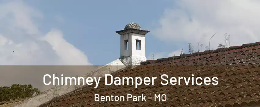 Chimney Damper Services Benton Park - MO