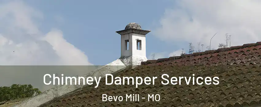 Chimney Damper Services Bevo Mill - MO