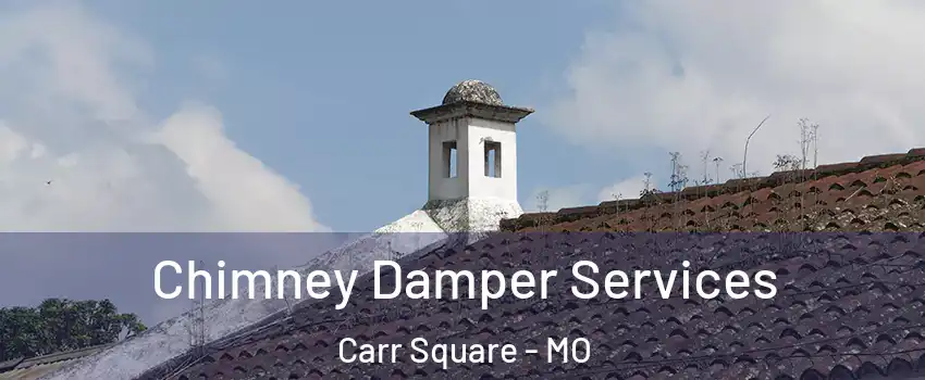 Chimney Damper Services Carr Square - MO