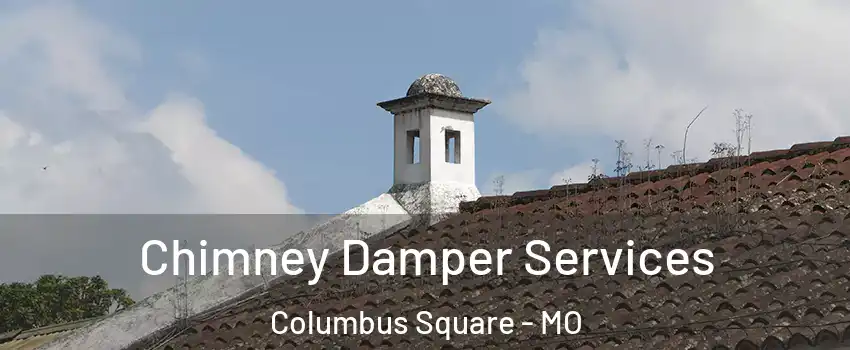 Chimney Damper Services Columbus Square - MO
