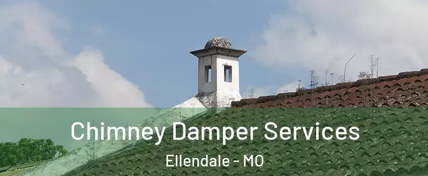 Chimney Damper Services Ellendale - MO
