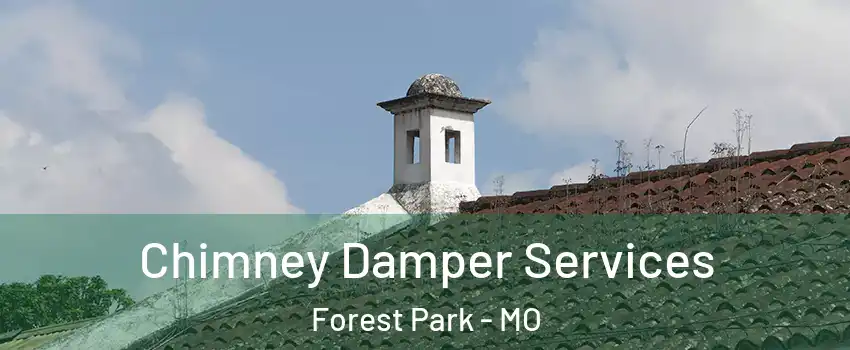 Chimney Damper Services Forest Park - MO