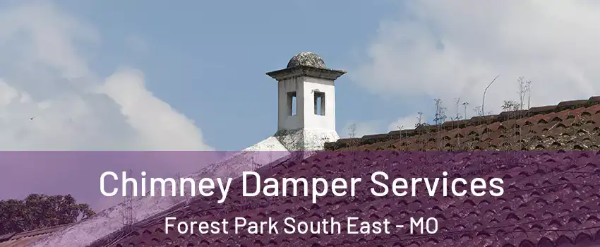 Chimney Damper Services Forest Park South East - MO