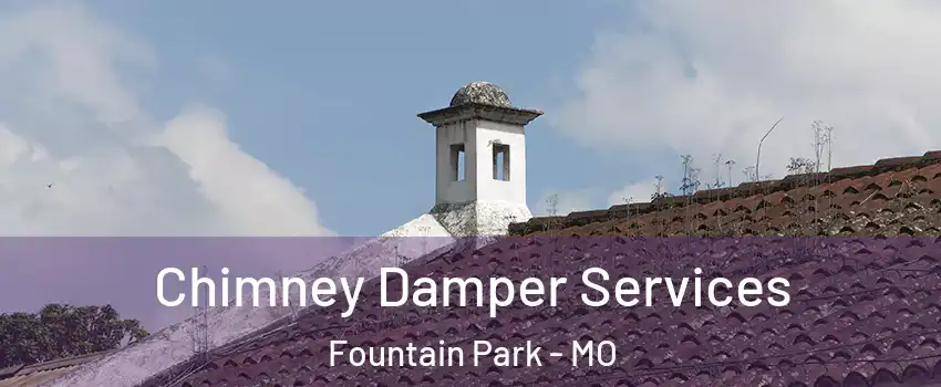 Chimney Damper Services Fountain Park - MO