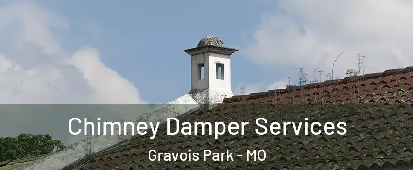 Chimney Damper Services Gravois Park - MO
