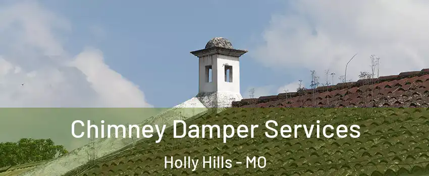 Chimney Damper Services Holly Hills - MO