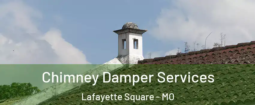 Chimney Damper Services Lafayette Square - MO