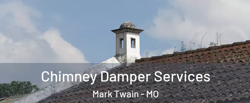 Chimney Damper Services Mark Twain - MO