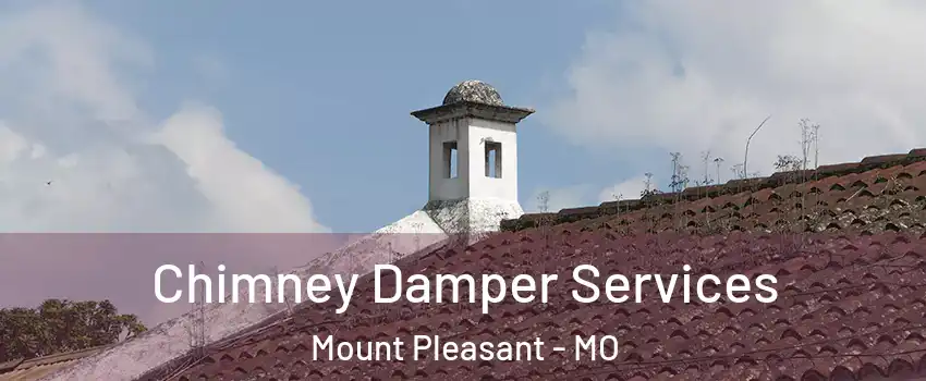 Chimney Damper Services Mount Pleasant - MO
