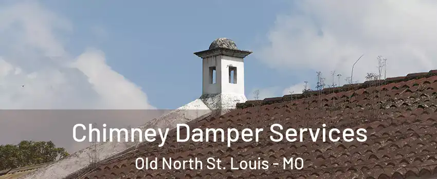 Chimney Damper Services Old North St. Louis - MO