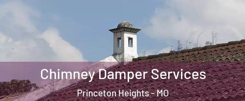 Chimney Damper Services Princeton Heights - MO