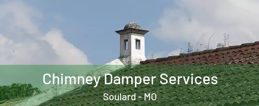 Chimney Damper Services Soulard - MO