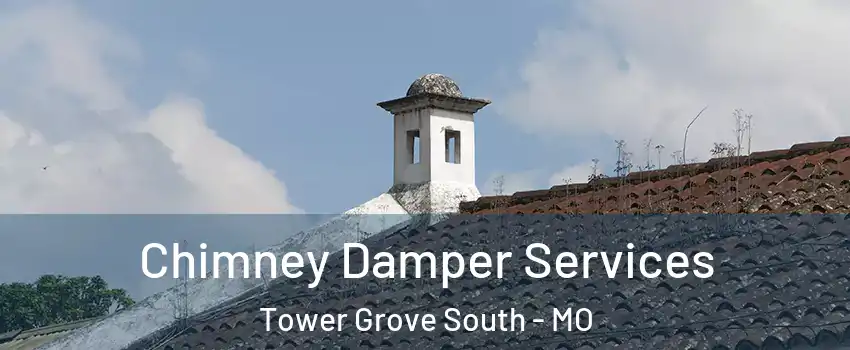 Chimney Damper Services Tower Grove South - MO