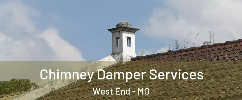 Chimney Damper Services West End - MO