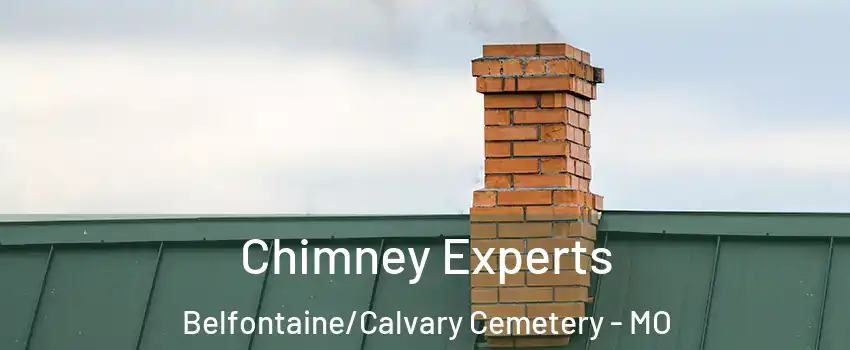 Chimney Experts Belfontaine/Calvary Cemetery - MO