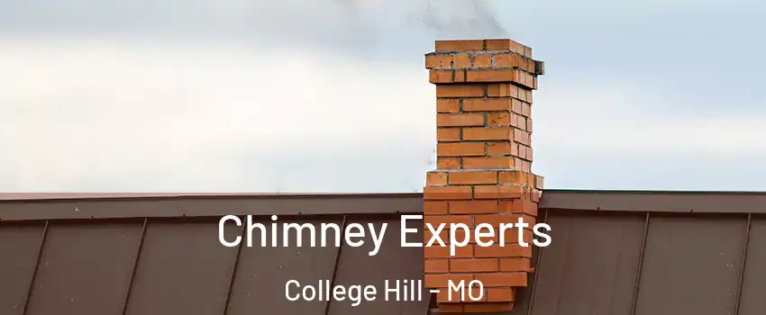 Chimney Experts College Hill - MO