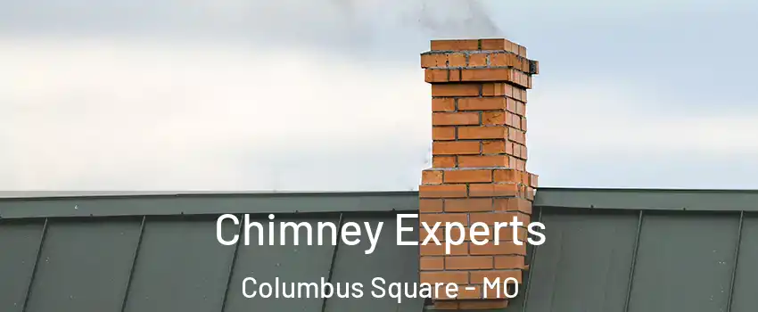 Chimney Experts Columbus Square - MO