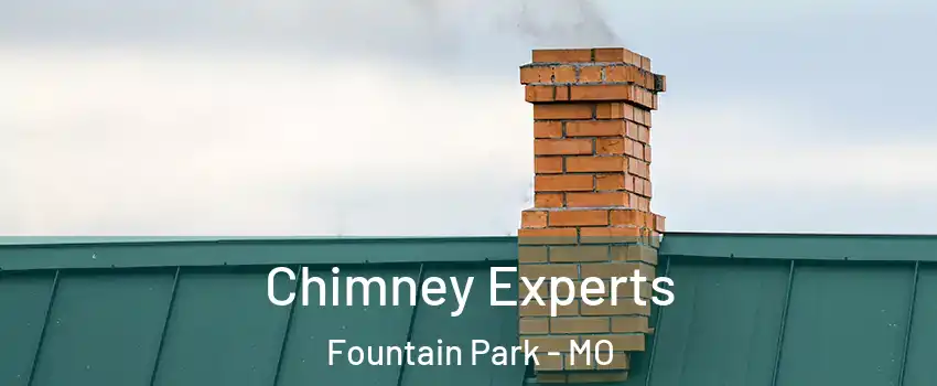Chimney Experts Fountain Park - MO