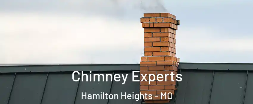 Chimney Experts Hamilton Heights - MO