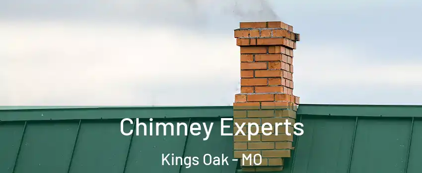 Chimney Experts Kings Oak - MO