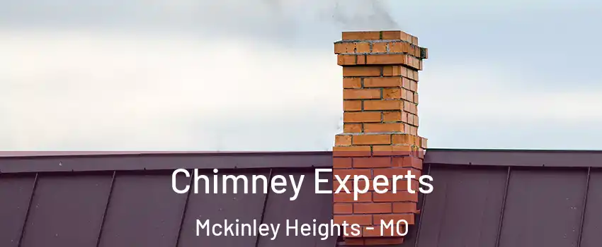 Chimney Experts Mckinley Heights - MO