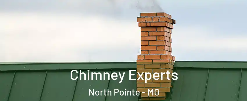 Chimney Experts North Pointe - MO
