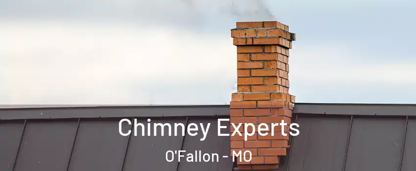 Chimney Experts O'Fallon - MO
