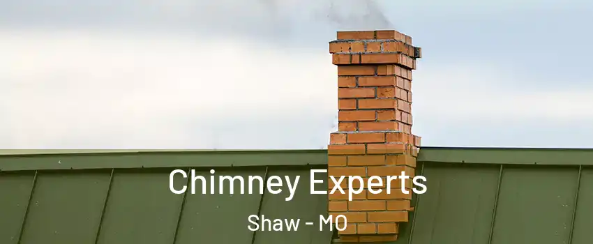 Chimney Experts Shaw - MO