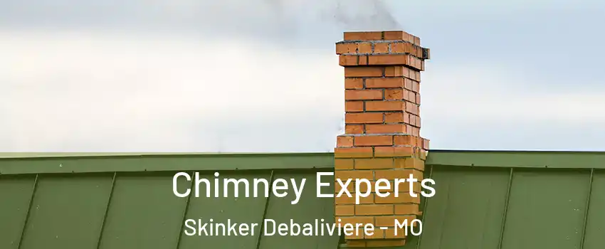 Chimney Experts Skinker Debaliviere - MO