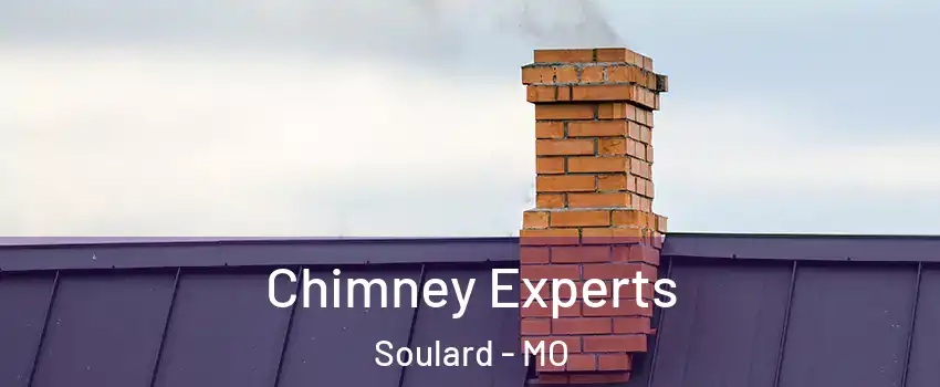 Chimney Experts Soulard - MO