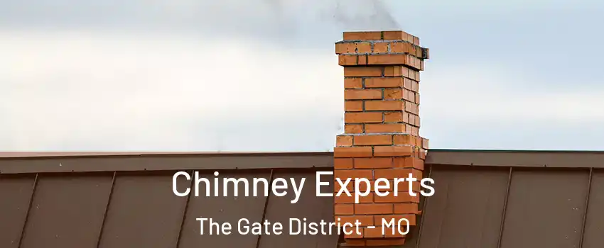 Chimney Experts The Gate District - MO