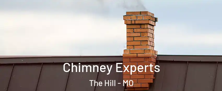 Chimney Experts The Hill - MO