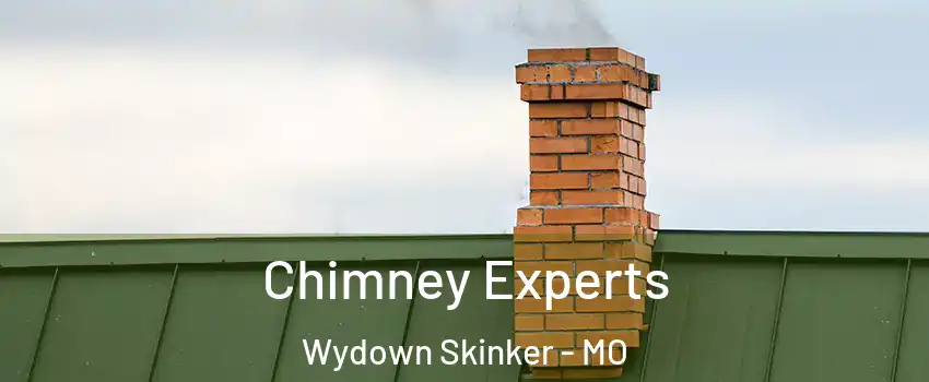 Chimney Experts Wydown Skinker - MO