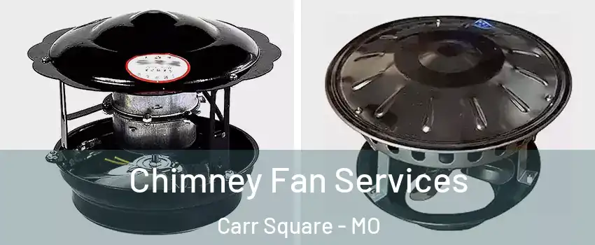 Chimney Fan Services Carr Square - MO