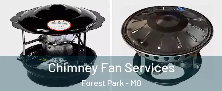 Chimney Fan Services Forest Park - MO