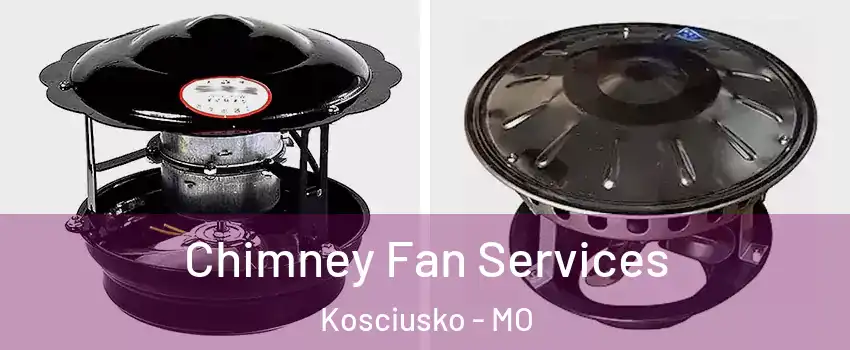 Chimney Fan Services Kosciusko - MO