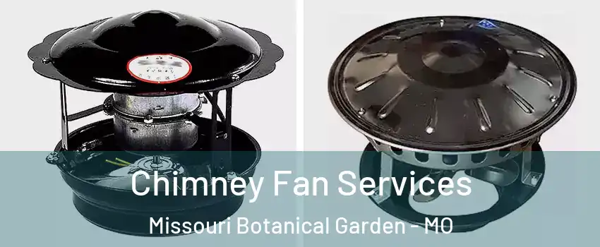 Chimney Fan Services Missouri Botanical Garden - MO