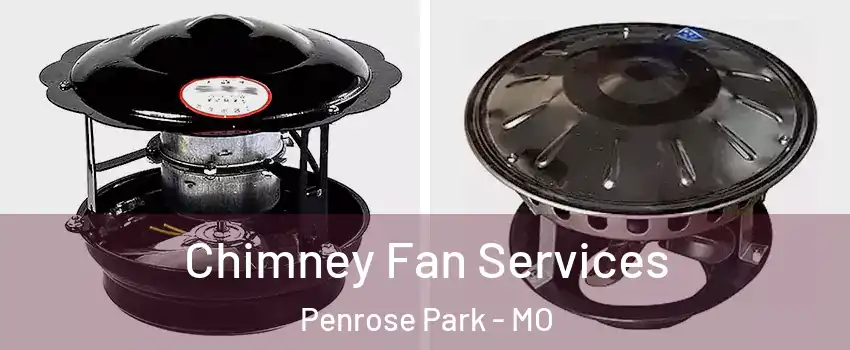 Chimney Fan Services Penrose Park - MO
