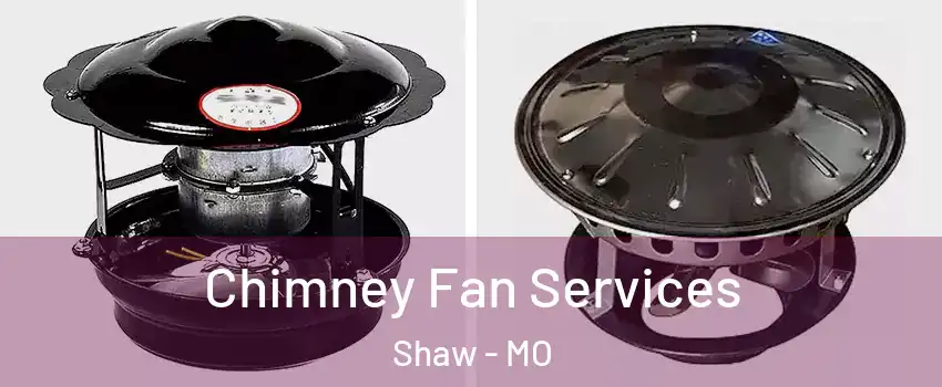 Chimney Fan Services Shaw - MO