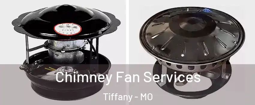Chimney Fan Services Tiffany - MO