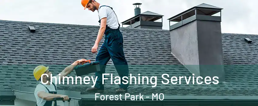 Chimney Flashing Services Forest Park - MO