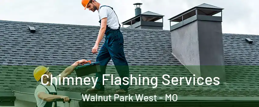 Chimney Flashing Services Walnut Park West - MO