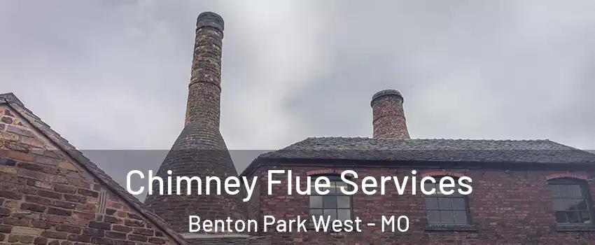 Chimney Flue Services Benton Park West - MO